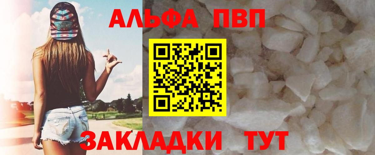 A PVP СК КРИС Печора