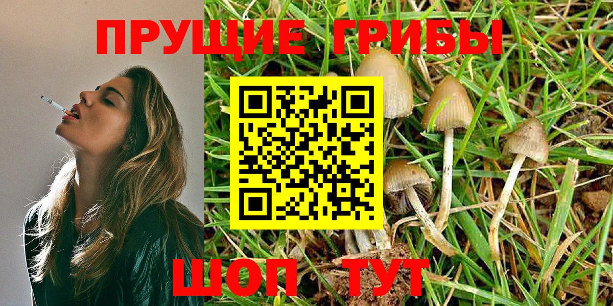 Печора  Псилоцибиновые грибы мухоморы  Вход с VPN 